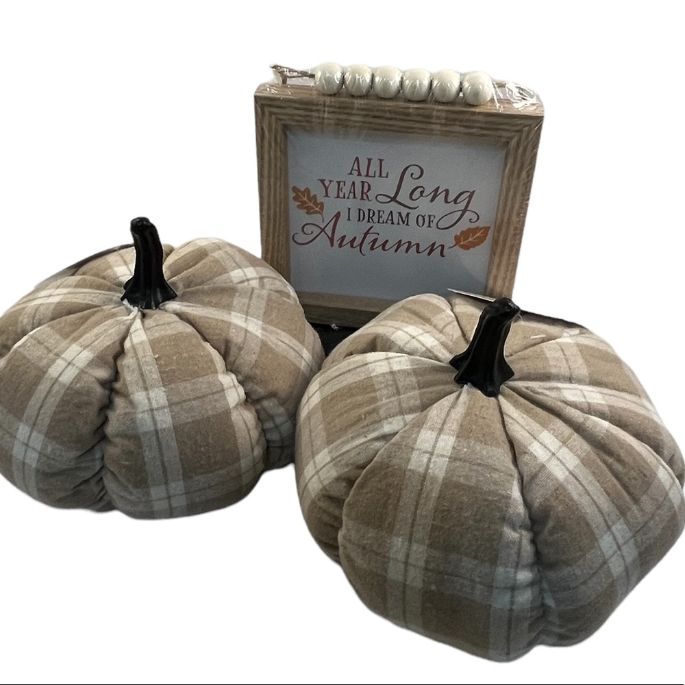 Beige plaid fabric stuffed pumpkin decor set of 2 with picture fall decoration